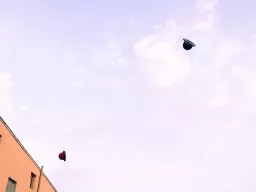 103-DSCF0116